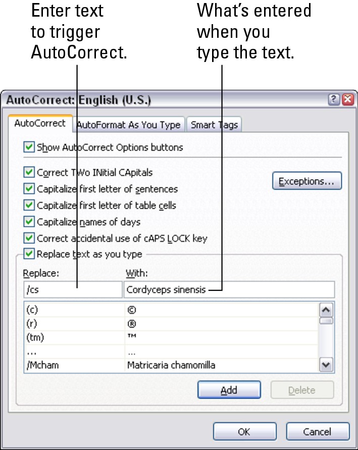 Figure 2-9: With a little cunning, you can use AutoCorrect to enter hard-to-type text.